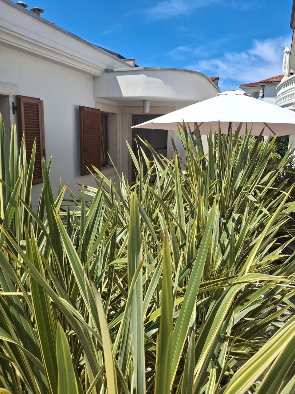 Apartments Leona Umag Luaran gambar